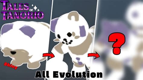 All Shiny Snowkit Evolution Tales Of Tanorio YouTube