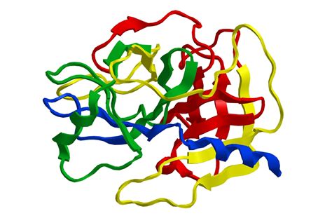 The Hidden Dangers of Trypsin Inhibitors in Plant Foods - Dr. Robert Kiltz