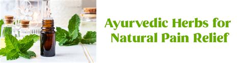 Ayurvedic Herbs for Natural Pain Relief