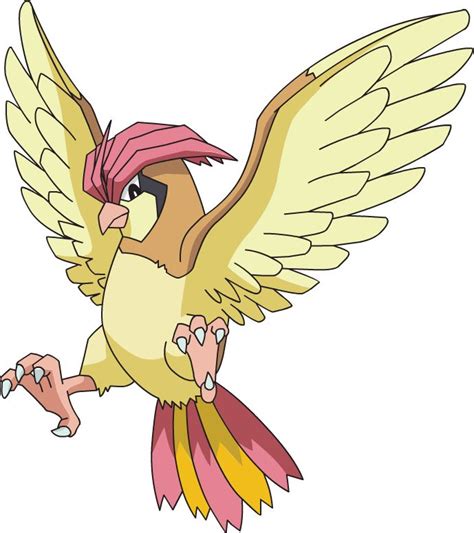 Pidgeotto Pokemon Sketch Pokemon Drawings Pokemon Art