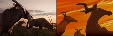 The Lion King Movie Side By Side With The Old