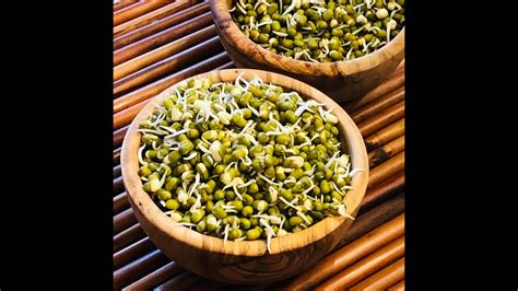 How To Sprout Mung Beans In The Instant Pot Green Gram Sprouts Moong