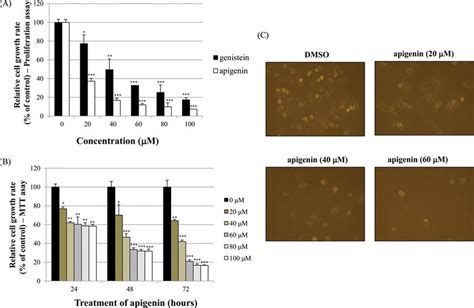 Effect Of Apigenin On BT 474 Cell Growth A BT 474 Cells Were Treated