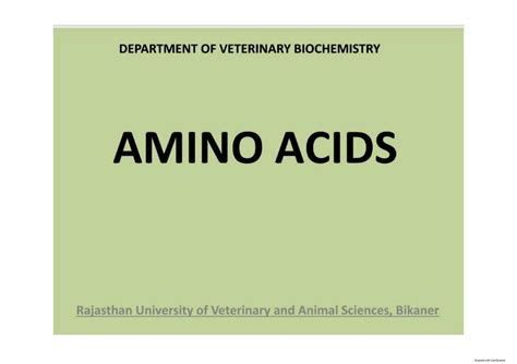 SOLUTION Amino Acid Complete Detailed Notes In English Language