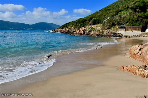 La Plage Du Golfe De Lava Proche Dajaccio