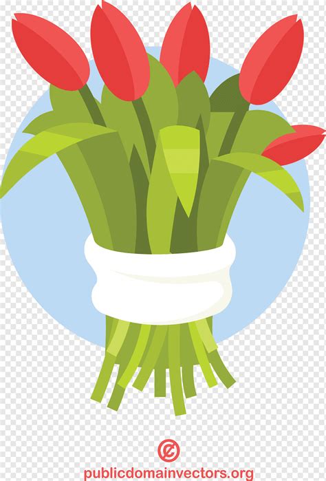 Tulips Bouquet Png PNGWing