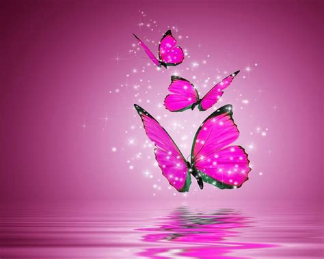 Mariposas Fondos De Pantalla Para Celular Rosas Mariposas Fondos De