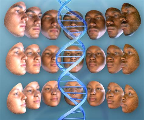 Just Based On DNA Scientists Can Construct An Image Of Your Face