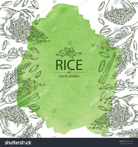 Watercolor background with rice, plate with rice and bag of rice. Vector hand drawn illustration ...