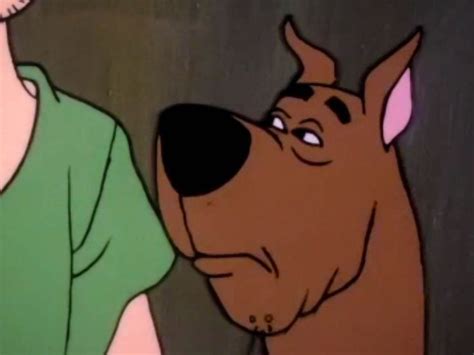 Sexy Memes On Scooby Doo