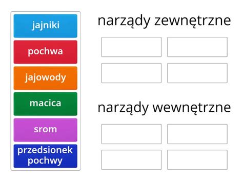 układ rozrodczy krowy podział Ordenar por grupo