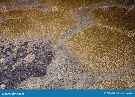 Liquid Manure Stock Photo Image Of Farming Close Dung 2724770