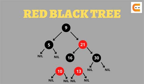 Red Black Tree AVL Tree Coding Ninjas