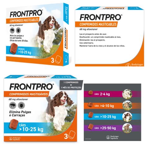 Frontpro Pour Chiens Petness France