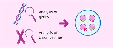 PGD To Detect Genetic Diseases In Embryos