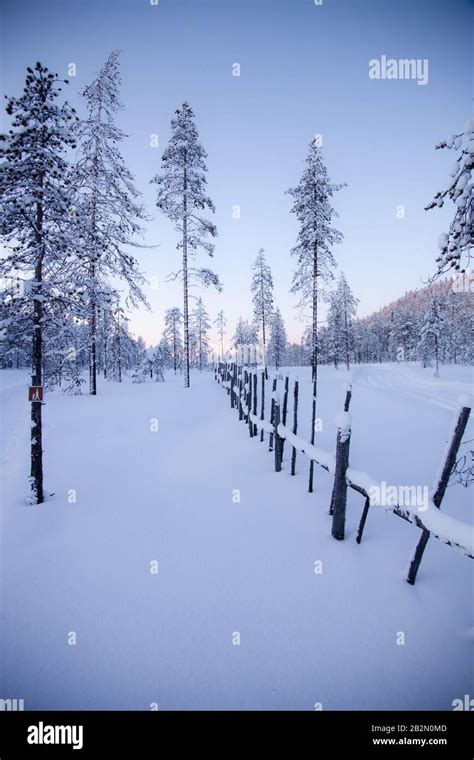 Winter in Lapland Finland Stock Photo - Alamy