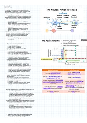 Physiology Notes Midterm 1 13 Pages Physiology 1021 1 The Excitable