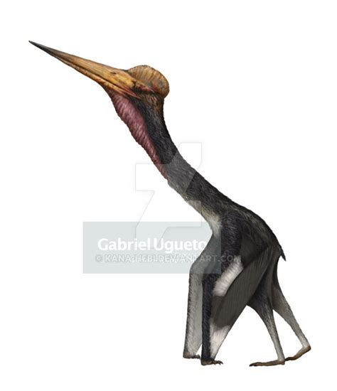 An Artists Rendering Of The Head And Neck Of A Bird