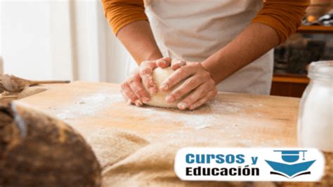 El Taller De Cocina Para Principiantes Cursos Y Educación