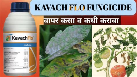 kavach flo fungicide kavach flo syngenta कवच फल बरशनशक YouTube