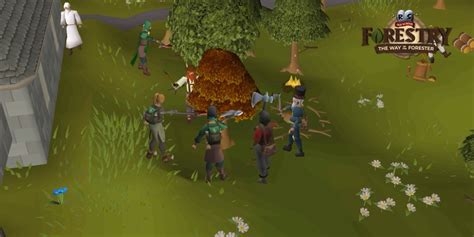 Old School Runescapes Forestry Expansion Looks To Make Woodcutting A