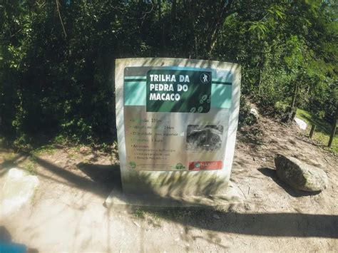 Conhe A Tudo Sobre A Trilha Da Pedra Do Macaco Maric Rj Vamos