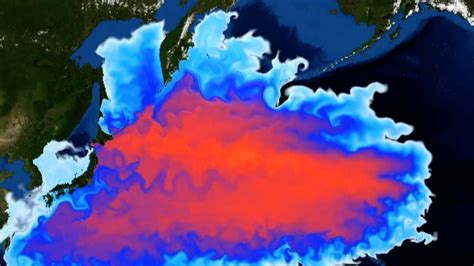 Global Concerns Grow As Fukushima Wastewater Discharge Plans Go Ahead