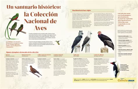 Un Santuario Histórico De Aves Hoy En El Día Mundial Del Medio