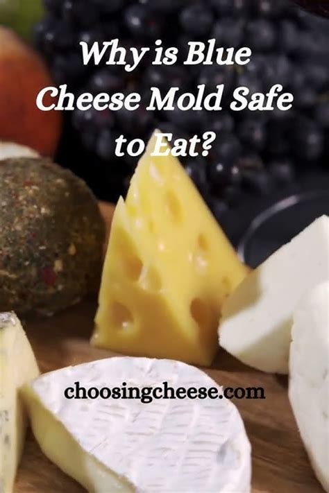 Why Blue Cheese Mold Is Safe To Eat Youtube