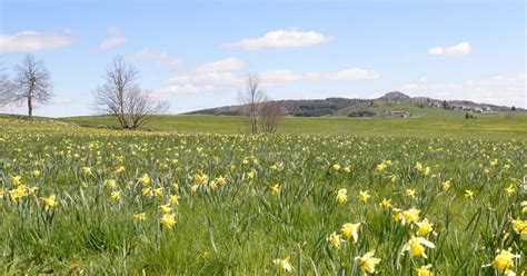 Haute Loire Saviez vous que vous pouviez être verbalisé en ramassant