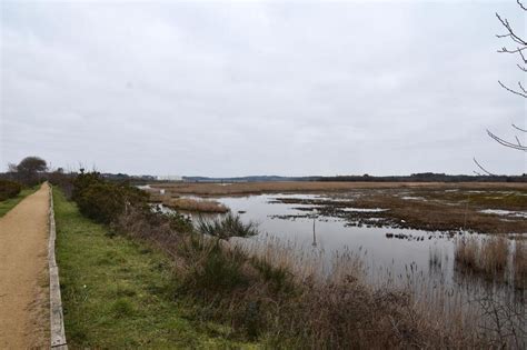 Des Battues Au Sanglier Pr Vues Dans Une R Serve Naturelle Du Morbihan