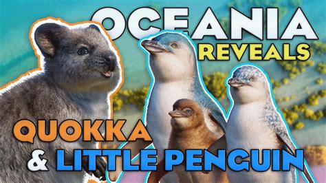 🐧 Quokka And Little Penguin Reveals Planet Zoo Oceania Pack Youtube