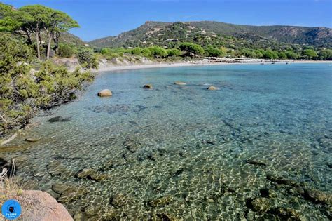 La Plage De Palombaggia En Corse Porto Vecchio