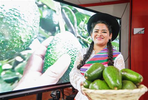 Ayacucho Lanzamiento Del Foro Regional De La Palta Cultiva