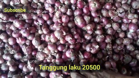 Harga Bawang Merah Hari Ini Jum At Oktober Youtube