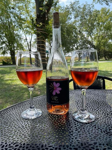 Uncork And Unwind Exploring The Best Vineyards On Marylands Eastern