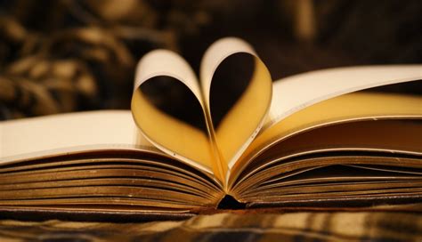 5 أنواع من الكتب تزيد من نسبة الذكاء - ثقف نفسك