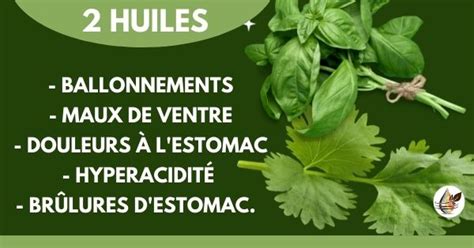 Problèmes de digestion avec les huiles essentielles Huiles