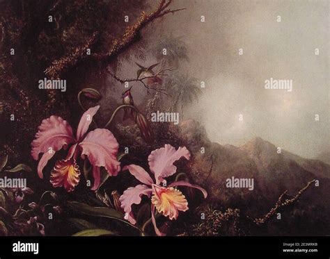 Martin Johnson Heade Landscape Hi Res Stock Photography And Images Alamy