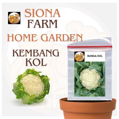 Jual Benih Bunga Kol Larissa F Bibit Tanaman Sayur Sayuran Kembang Kol