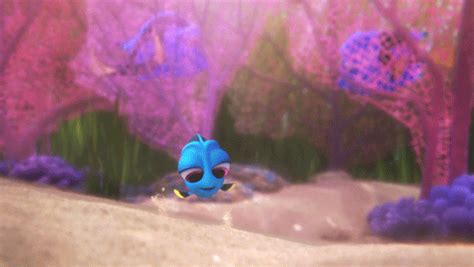 Finding Dory GIF by Disney/Pixar's Finding Dory - Find & Share on GIPHY