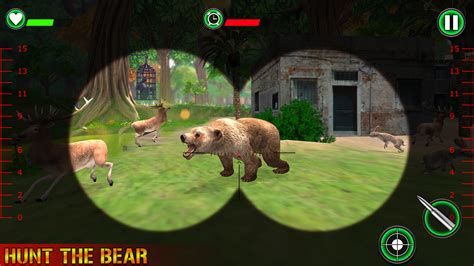 Jungle Animals Hunting Games : Real Shooting Game - App on Amazon Appstore