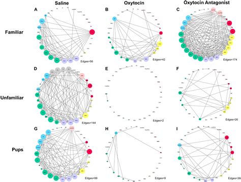 Frontiers Oxytocin Manipulation Alters Neural Activity In Response To