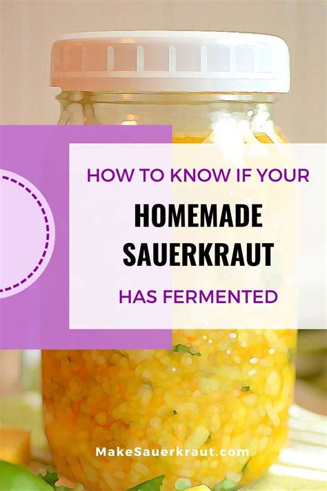 Salty Cabbage To Sour Sauerkraut Signs Of Fermentation Artofit