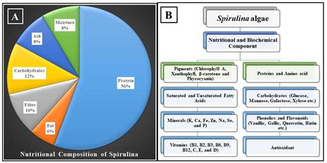 Spirulina And Its Health Benefits Encyclopedia Mdpi