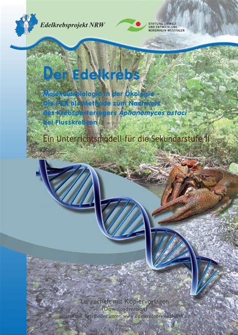 Pdf Der Edelkrebs Magen Darm Traktes Z B Candida Albicans