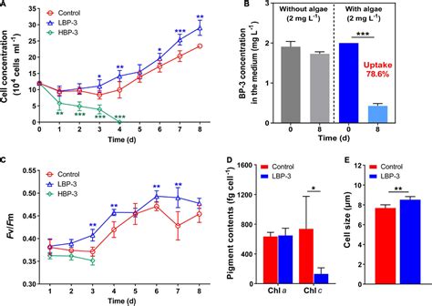 Frontiers Unraveling The Metabolic Effects Of Benzophenone On The