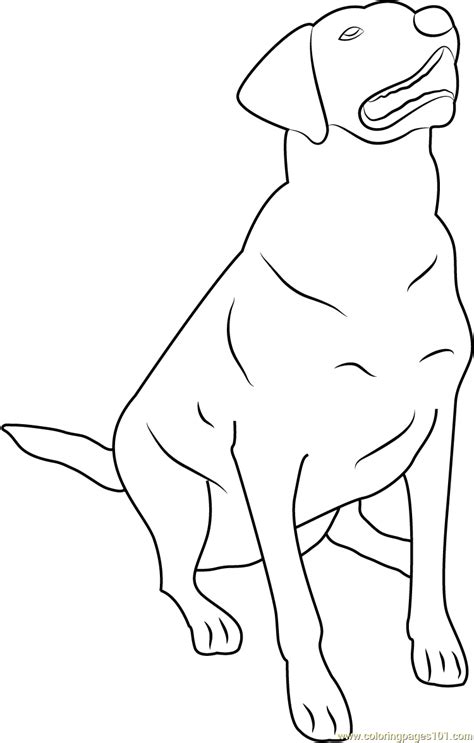 Labrador Retriever Coloring Page For Kids Free Dog Printable Coloring