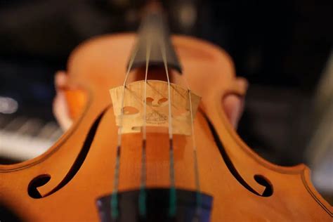 How To Take Care Of My Violin And Bow A Step By Step Maintenance Mega