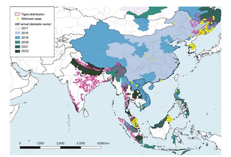 Map illustrating the spread of African swine fever (ASF) across Asia in... | Download Scientific ...